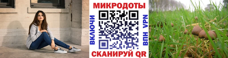 Галлюциногенные грибы Psilocybe  Ульяновск 