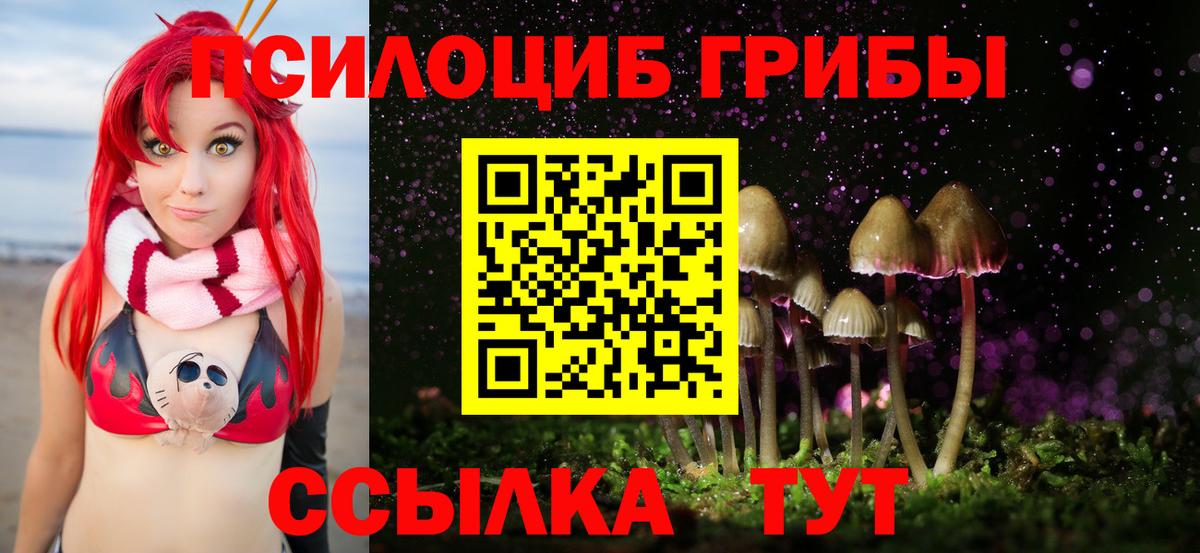 Галлюциногенные грибы мицелий  Вход с VPN  Псилоцибиновые грибы MAGIC MUSHROOMS  Ульяновск 