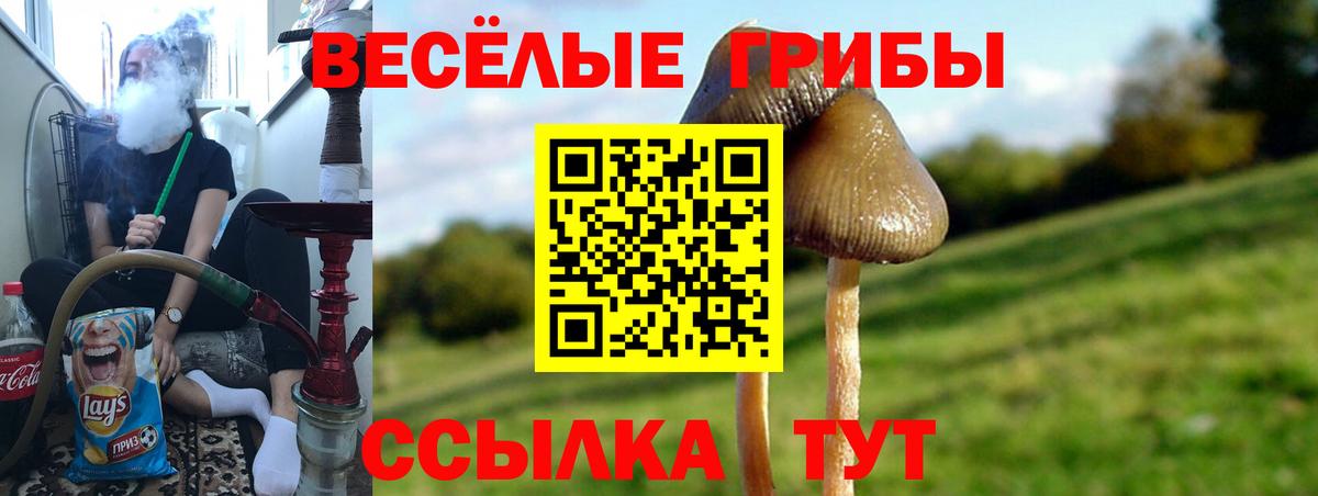 Cocaine  Каннабис  25-NBOMe  Ульяновск  Ляпка  Как найти наркотики?  Мефедрон  Марихуана  Вход с VPN  Альфа-ПВП  Масло THC 