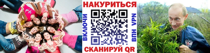 Конопля сатива  Ульяновск 